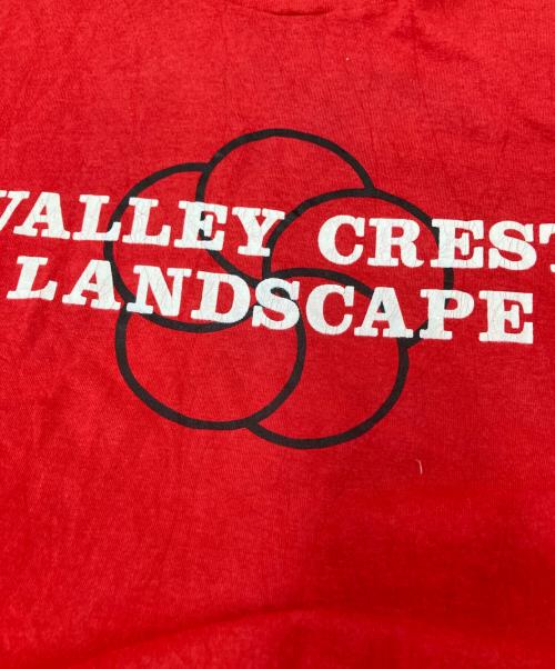 FRUIT OF THE LOOM（フルーツオブザルーム）FRUIT OF THE LOOM (フルーツオブザルーム) プリントTシャツ レッド サイズ:XLの古着・服飾アイテム