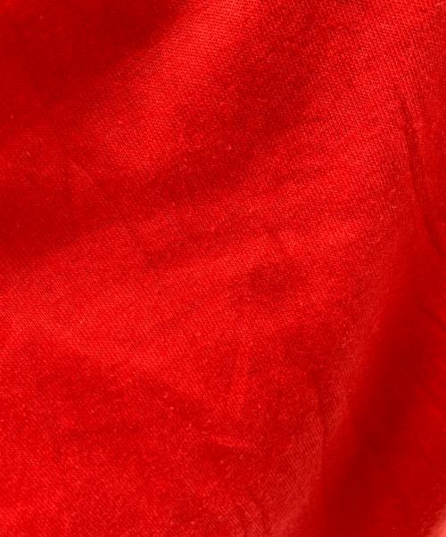 GULF COAST sportswear（ガルフコースト スポーツウェア）GULF COAST sportswear (ガルフコースト スポーツウェア) 80‘ＳプリントTシャツ レッド サイズ:Mの古着・服飾アイテム