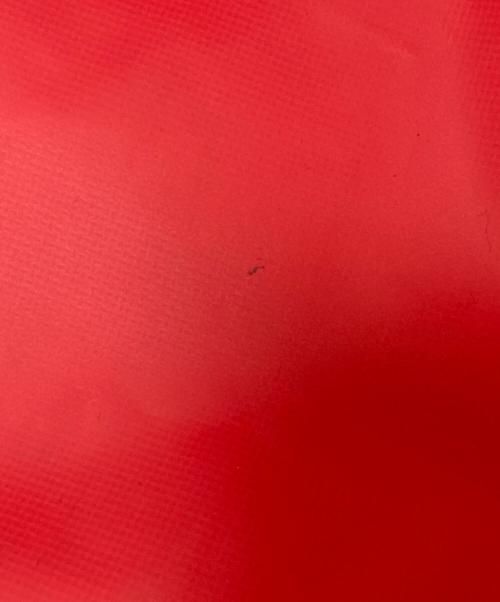 HELLY HANSEN（ヘリーハンセン）HELLY HANSEN (ヘリーハンセン) ショルダーボストンバッグ レッド×ブラック サイズ:下記参照の古着・服飾アイテム