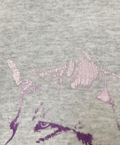 FRUIT OF THE LOOM（フルーツオブザルーム）FRUIT OF THE LOOM (フルーツオブザルーム) パーカー グレー サイズ:XLの古着・服飾アイテム