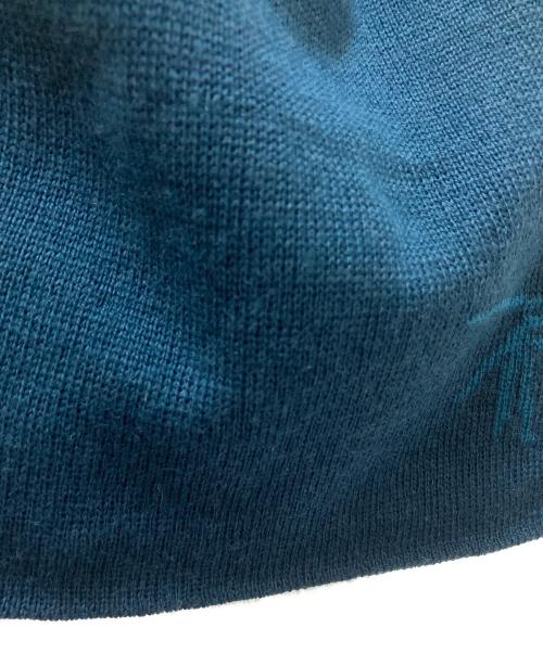 ARC'TERYX（アークテリクス）ARC'TERYX (アークテリクス) BIRD HEAD TOQUE グリーン サイズ:下記参照の古着・服飾アイテム