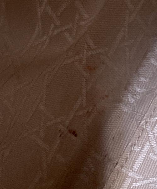 Christian Dior（クリスチャン ディオール）Christian Dior (クリスチャン ディオール) レディーディオール2WAYハンドバッグ ホワイト サイズ:下記参照の古着・服飾アイテム