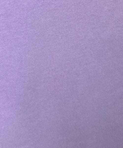 THE NORTH FACE（ザ ノース フェイス）THE NORTH FACE (ザ ノース フェイス) 7oz H/S Pocket Tee パープル サイズ:Mの古着・服飾アイテム