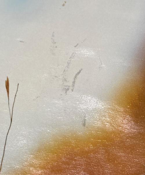 OAMC（オーエーエムシー）OAMC (オーエーエムシー) プリントカットソー ブラック サイズ:Lの古着・服飾アイテム