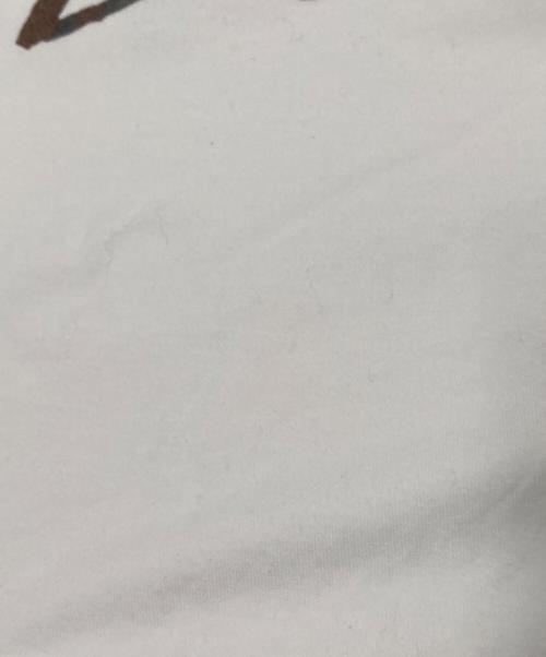 stussy（ステューシー）stussy (ステューシー) プリントTシャツ ホワイト サイズ: Lの古着・服飾アイテム