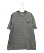 THE NORTH FACEザ ノース フェイス）の古着「Tシャツ」｜グレー