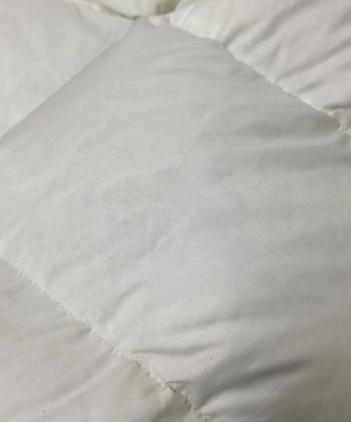 AIRBORN（エアボーン）AIRBORN (エアボーン) ダウンジャケット ホワイト サイズ:Lの古着・服飾アイテム