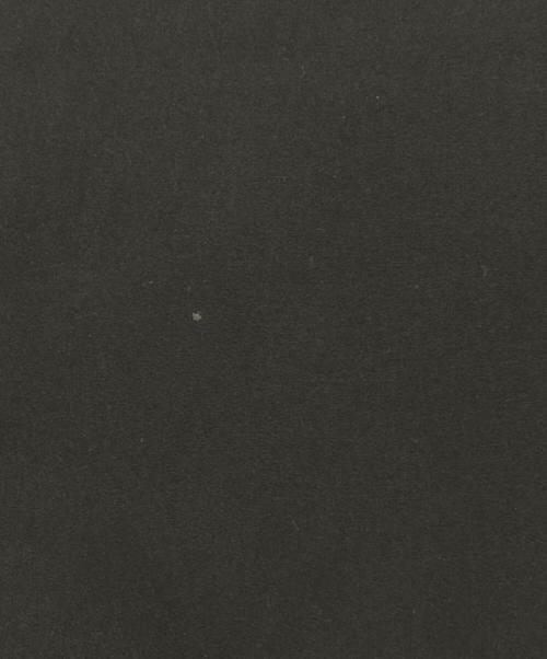 DANTON（ダントン）DANTON (ダントン) スタンドカラーダウンジャケット ブラック サイズ:Lの古着・服飾アイテム