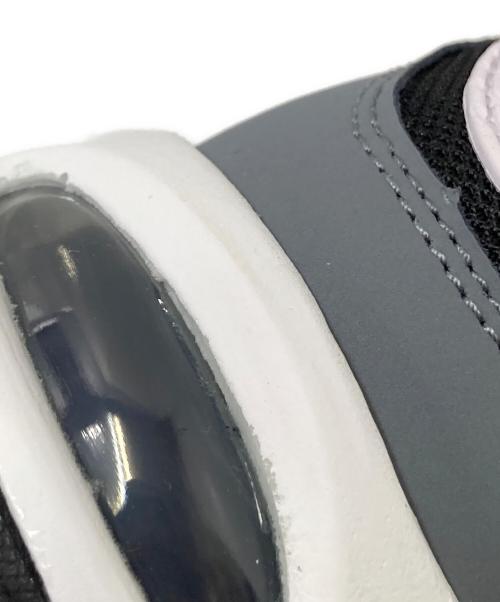 NIKE（ナイキ）NIKE (ナイキ) AIR MAX CORRELATE グレー×ブラック サイズ:27.5㎝の古着・服飾アイテム