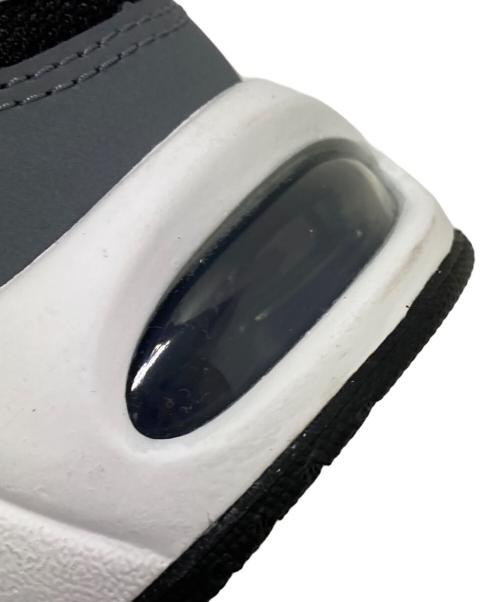 NIKE（ナイキ）NIKE (ナイキ) AIR MAX CORRELATE グレー×ブラック サイズ:27.5㎝の古着・服飾アイテム