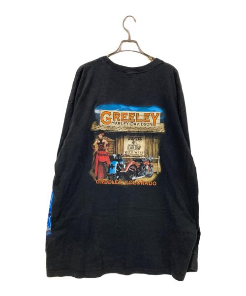 HARLEY-DAVIDSON（ハーレーダビッドソン）HARLEY-DAVIDSON (ハーレーダビッドソン) ブルーフレイムジョーカーロンTシャツ ブラック サイズ:2Xの古着・服飾アイテム