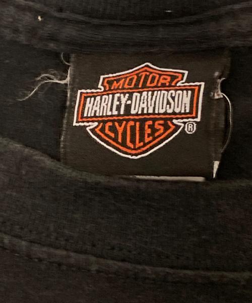 HARLEY-DAVIDSON（ハーレーダビッドソン）HARLEY-DAVIDSON (ハーレーダビッドソン) ブルーフレイムジョーカーロンTシャツ ブラック サイズ:2Xの古着・服飾アイテム
