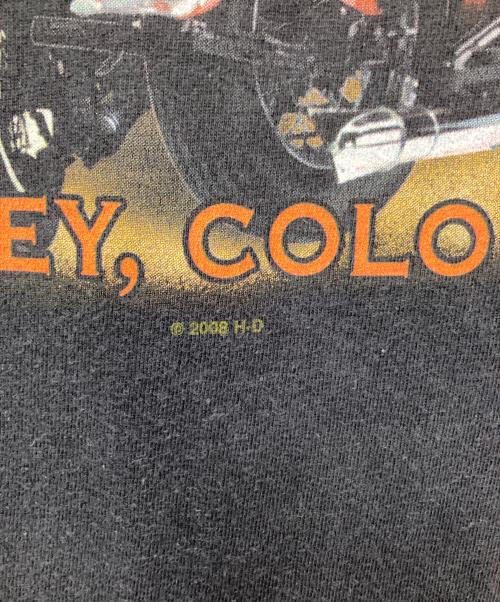 HARLEY-DAVIDSON（ハーレーダビッドソン）HARLEY-DAVIDSON (ハーレーダビッドソン) ブルーフレイムジョーカーロンTシャツ ブラック サイズ:2Xの古着・服飾アイテム