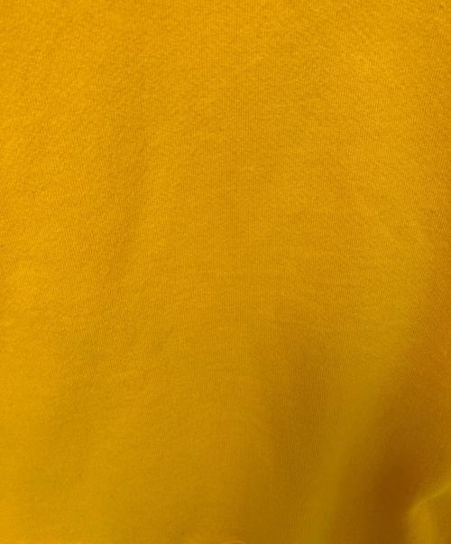 RUSSELL ATHLETIC（ラッセルアスレチック）RUSSELL ATHLETIC (ラッセルアスレチック) 80-90`SVガゼットカレッジプリントスウェット イエロー サイズ:Lの古着・服飾アイテム