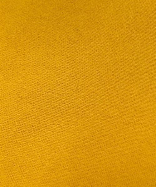 RUSSELL ATHLETIC（ラッセルアスレチック）RUSSELL ATHLETIC (ラッセルアスレチック) 80-90`SVガゼットカレッジプリントスウェット イエロー サイズ:Lの古着・服飾アイテム