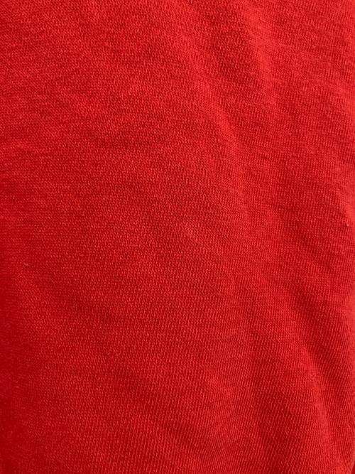 WAREHOUSE（ウエアハウス）WAREHOUSE (ウエアハウス) BEAMS PLUS (ビームスプラス) 別注プルオーバーパーカー レッド サイズ:42の古着・服飾アイテム