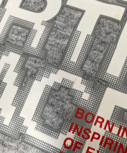 THE NORTH FACE（ザ ノース フェイス）THE NORTH FACE (ザ ノース フェイス) Front Half DOME Hoodie グレー サイズ:Lの古着・服飾アイテム