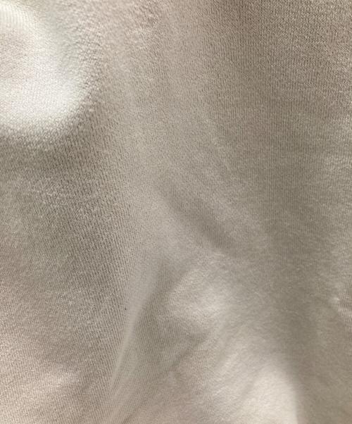 THE NORTH FACE（ザ ノース フェイス）THE NORTH FACE (ザ ノース フェイス) ロックステディハーフジップ ベージュ サイズ:Mの古着・服飾アイテム