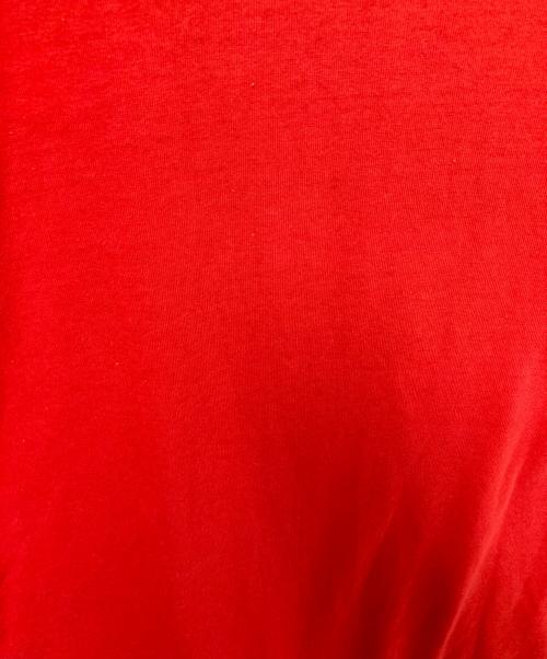 RUSSELL ATHLETIC（ラッセルアスレチック）RUSSELL ATHLETIC (ラッセルアスレチック) 90s リンガーTシャツ ベージュ×レッド サイズ:Mの古着・服飾アイテム