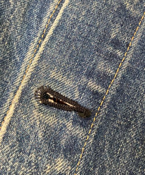 LEVI'S（リーバイス）LEVI'S (リーバイス) 71557 90sデニムジャケット インディゴ サイズ:38の古着・服飾アイテム