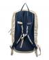 Patagonia (パタゴニア) PlaningDividerPack 30L ベージュ サイズ:下記参照：5000円