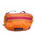 Patagonia（パタゴニア）の古着「MINI HIP PACK」｜オレンジ