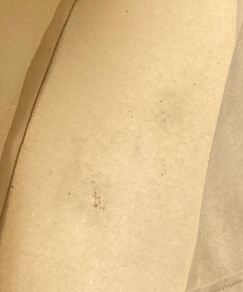 LOUIS VUITTON（ルイ ヴィトン）LOUIS VUITTON (ルイ ヴィトン) ショルダーバッグ ブラウン×ベージュ サイズ:下記参照の古着・服飾アイテム