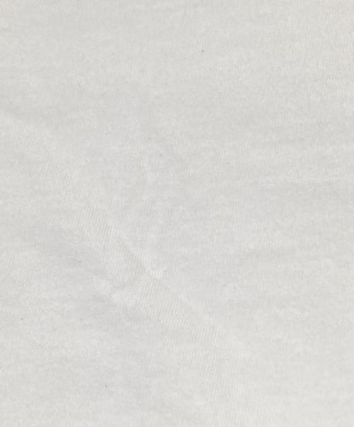 stussy（ステューシー）stussy (ステューシー) TOWER RECORDS (タワーレコード) コラボTシャツ ホワイト サイズ:Lの古着・服飾アイテム