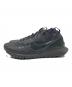 NIKE (ナイキ) PEGASUS TRAIL 4 GTX V2 ブラック サイズ:27.0cm：8000円