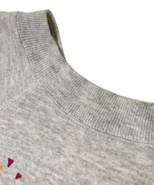 Pannill by Hanes（パニール バイ ヘインズ）Pannill by Hanes (パニール バイ ヘインズ) ラグランスウェット グレー サイズ:XLの古着・服飾アイテム