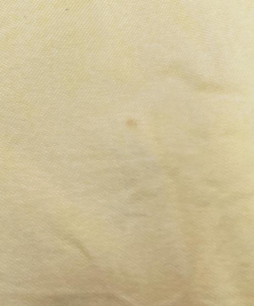 POLO RALPH LAUREN（ポロ・ラルフローレン）POLO RALPH LAUREN (ポロ・ラルフローレン) ボタンダウンシャツ イエロー サイズ:16-33の古着・服飾アイテム