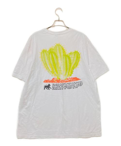 stussy（ステューシー）stussy (ステューシー) プリントTシャツ ホワイト サイズ:Lの古着・服飾アイテム