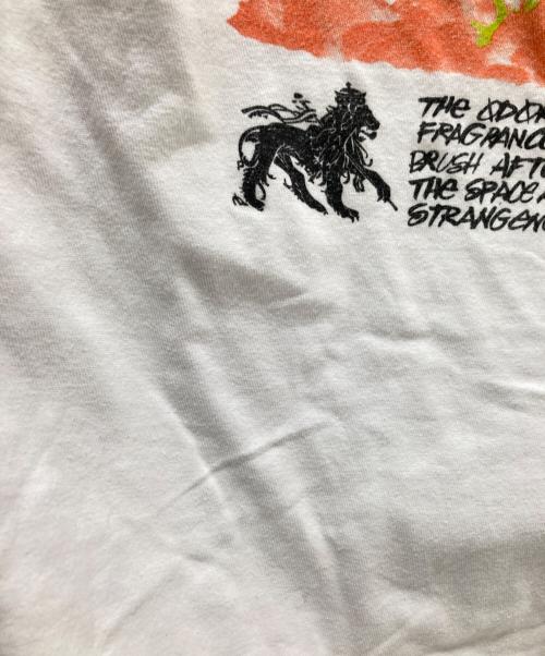 stussy（ステューシー）stussy (ステューシー) プリントTシャツ ホワイト サイズ:Lの古着・服飾アイテム