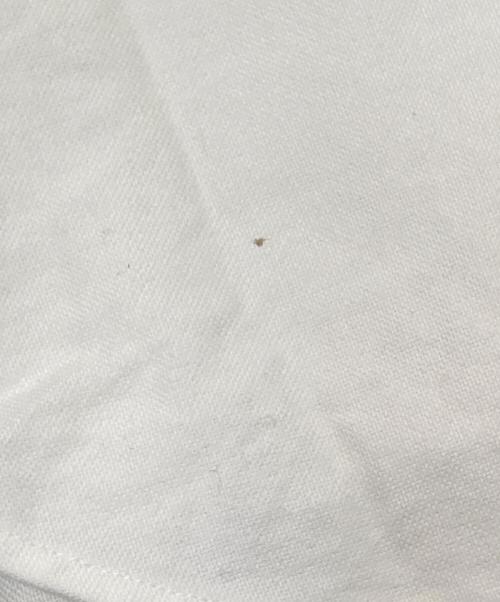 POLO RALPH LAUREN（ポロ・ラルフローレン）POLO RALPH LAUREN (ポロ・ラルフローレン) OXボタンダウンシャツ ホワイト サイズ:XSの古着・服飾アイテム
