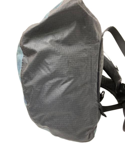 THE NORTH FACE（ザ ノース フェイス）THE NORTH FACE (ザ ノース フェイス) Statue of Liberty Waterproof Backpack サイズ:下記参照の古着・服飾アイテム
