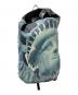 THE NORTH FACE（ザ ノース フェイス）の古着「Statue of Liberty Waterproof Backpack」