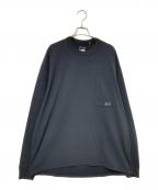 THE NORTH FACEザ ノース フェイス）の古着「ロングスリーブエンライドティー」｜グレー