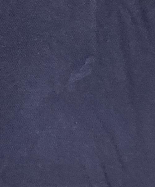 LACOSTE（ラコステ）LACOSTE (ラコステ) ポロシャツ ネイビー サイズ:US:Mの古着・服飾アイテム