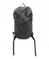 ARC'TERYX（アークテリクス）の古着「コンシール 15 バックパック」