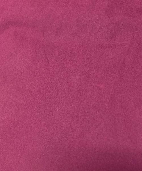 GAP（ギャップ）GAP (ギャップ) 90s アノラックパーカー レッド サイズ:Lの古着・服飾アイテム