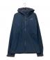 THE NORTH FACE（ザ ノース フェイス）の古着「APEX FLEX GTX JACKET」｜ブルー