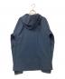 THE NORTH FACE (ザ ノース フェイス) APEX FLEX GTX JACKET ブルー サイズ:S：12000円
