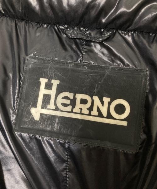 HERNO（ヘルノ）HERNO (ヘルノ) ダウンコート ブラック サイズ:44の古着・服飾アイテム