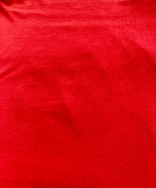 stussy（ステューシー）stussy (ステューシー) プリントTシャツ レッド サイズ:Lの古着・服飾アイテム