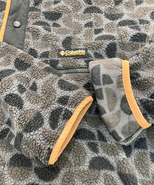 Columbia（コロンビア）Columbia (コロンビア) ヘルヴェティアII プリント ハーフスナップ フリース　224 AM4498 グレー サイズ:Lの古着・服飾アイテム