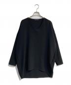 mizuiro-indミズイロインド）の古着「Vネックブラウス」｜ブラック