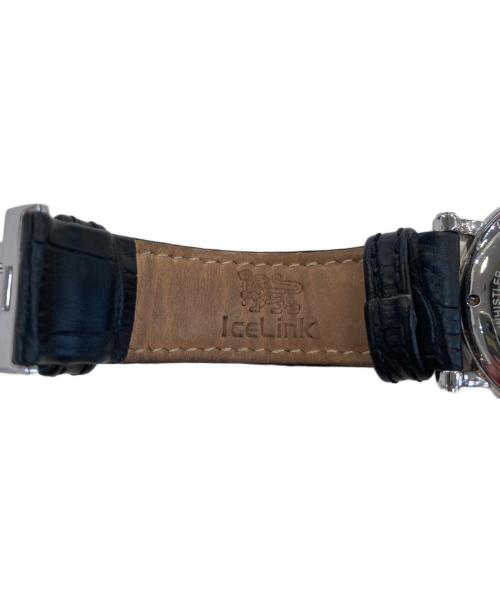 IceLink（アイスリンク）IceLink (アイスリンク) WHISTLER IWH-SWS ブラックの古着・服飾アイテム