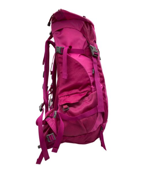 THE NORTH FACE（ザ ノース フェイス）THE NORTH FACE (ザ ノース フェイス) W TELLUS 30　NMW61308 ピンク サイズ:-の古着・服飾アイテム