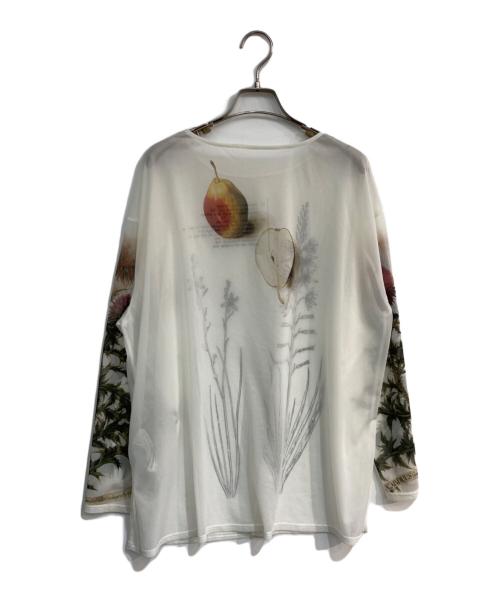 Ameri VINTAGE（アメリヴィンテージ）Ameri VINTAGE (アメリヴィンテージ) ILLUSTRATION PRINT SHEER TOP ホワイト サイズ:Freeの古着・服飾アイテム