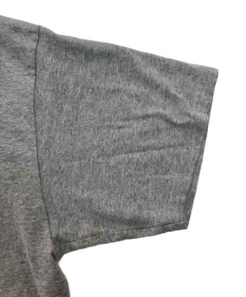 stussy（ステューシー）stussy (ステューシー) プリントTシャツ グレー サイズ:Mの古着・服飾アイテム